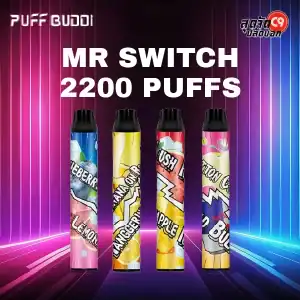 Puff Buddi Mr Switch 2200 puff